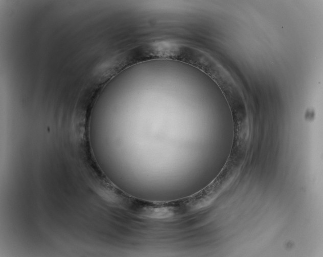 X0000102860553200808181444