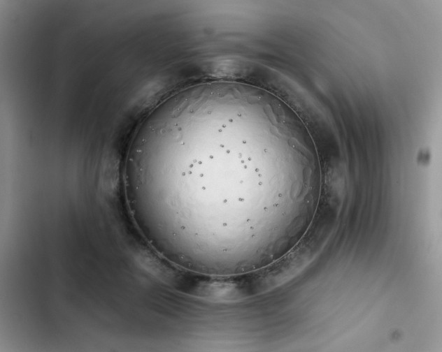 X0000102860554200808181444