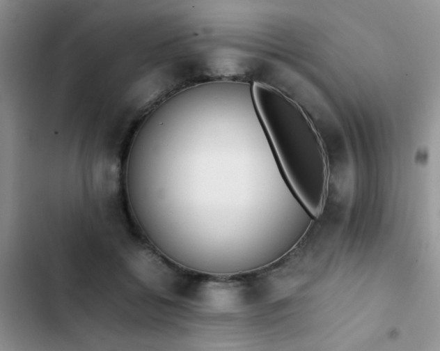 X0000102860556200808181444