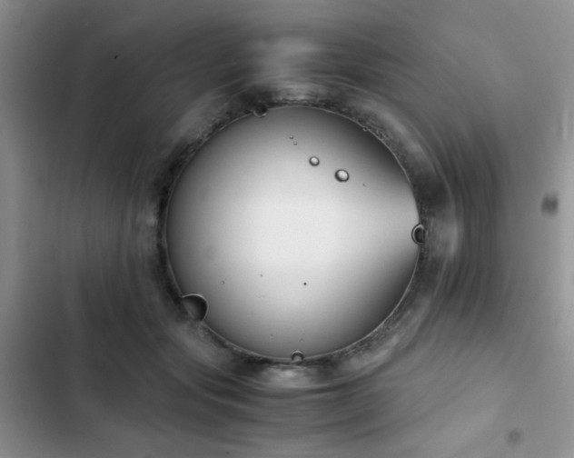 X0000102860557200808181444