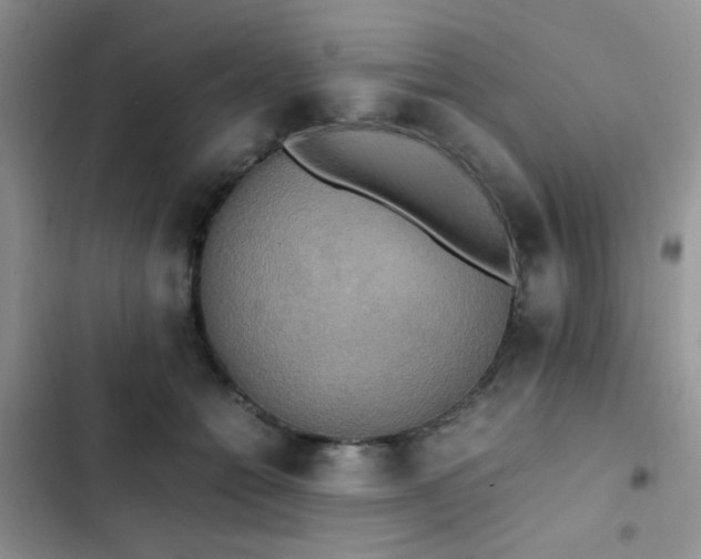 X0000102860558200808181444