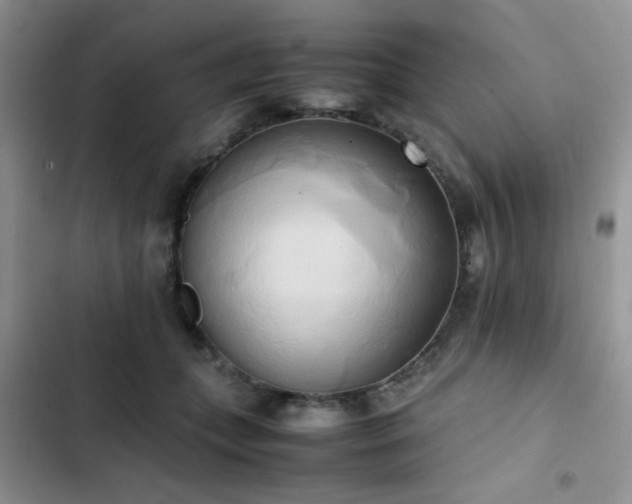 X0000102860559200808181444