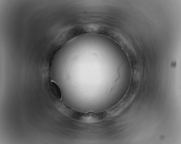 X0000102860561200808181444