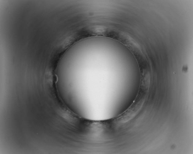 X0000102860562200808181444