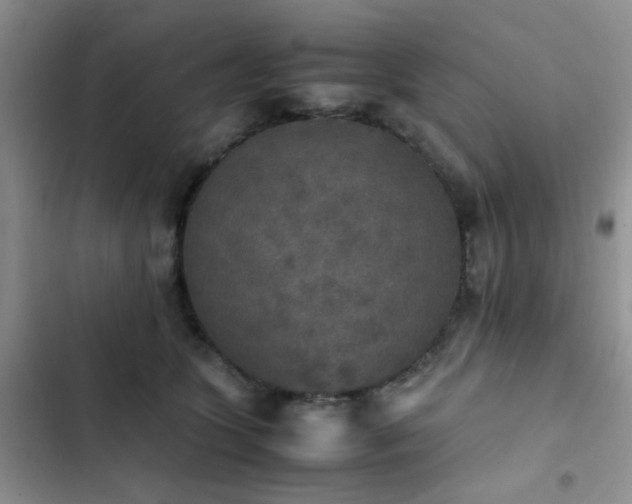 X0000102860563200808181444