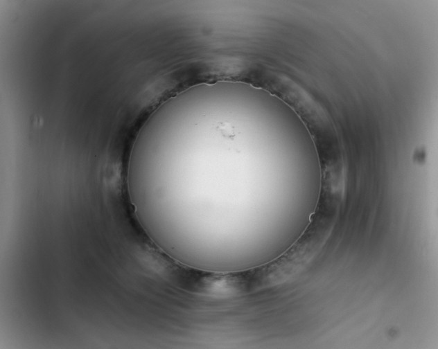 X0000102860564200808181444