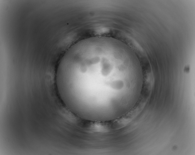 X0000102860565200808181444