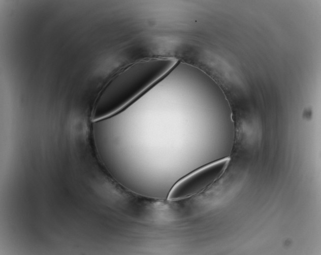 X0000102860566200808181444