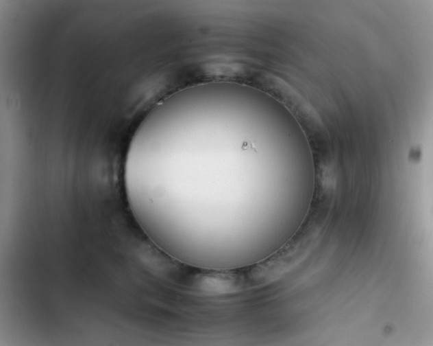 X0000102860567200808181444