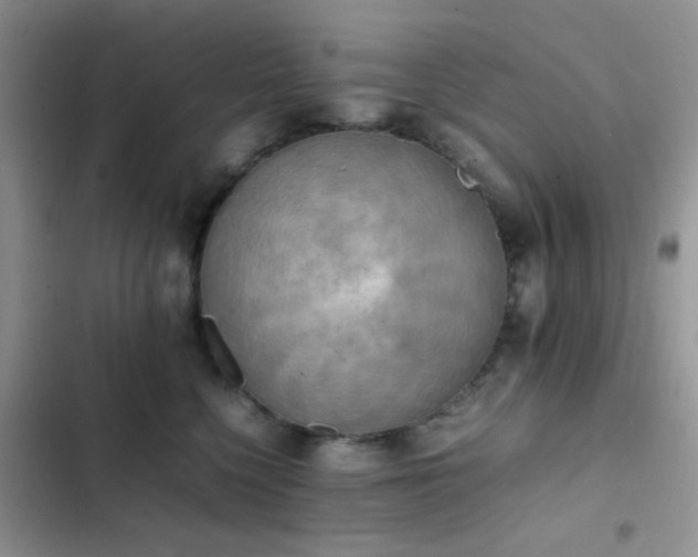 X0000102860568200808181444