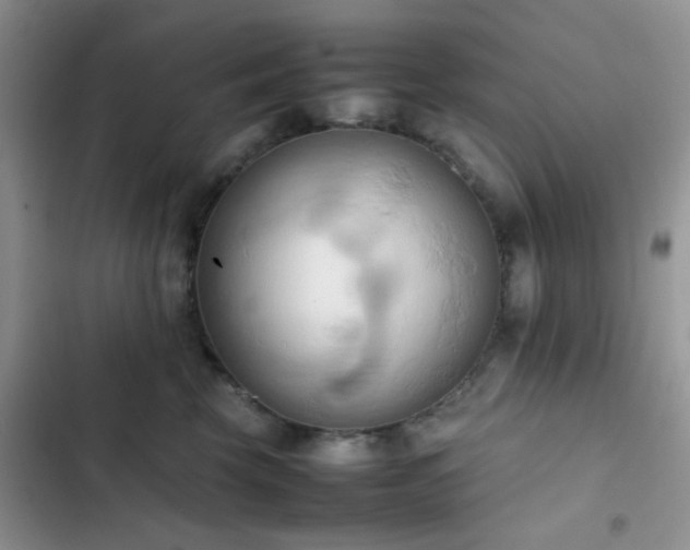 X0000102860569200808181444