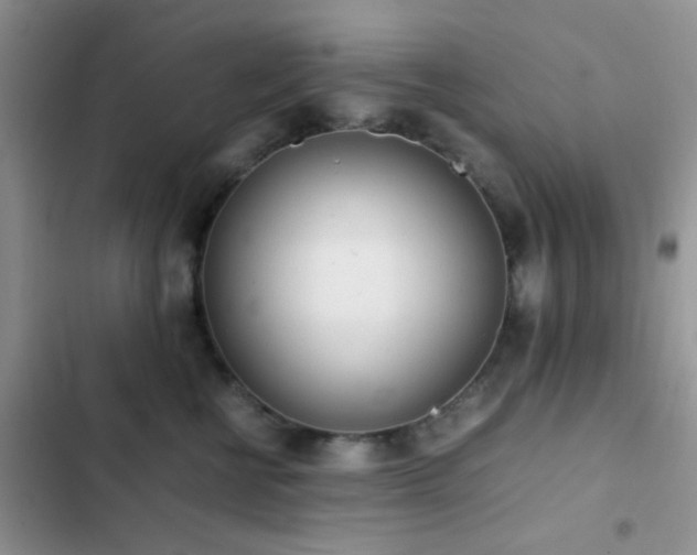 X0000102860570200808181444