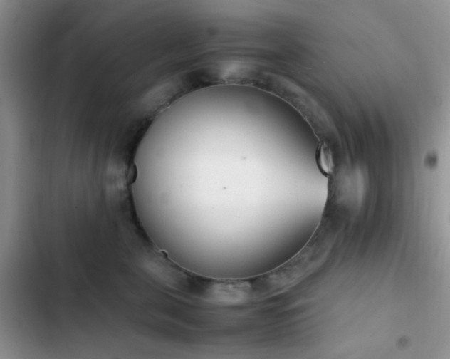 X0000102860571200808181444