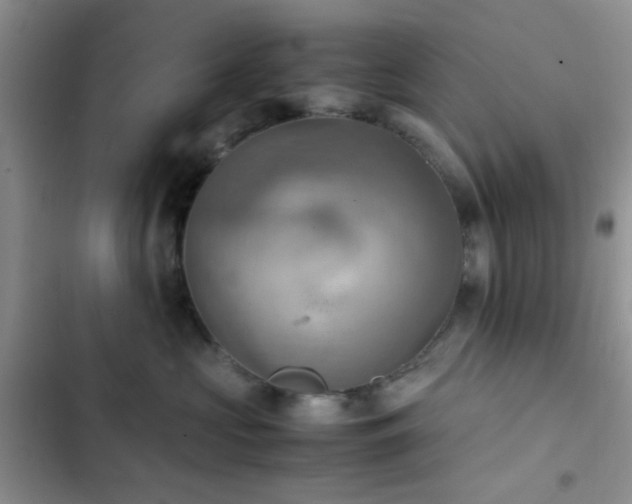 X0000102860573200808181444