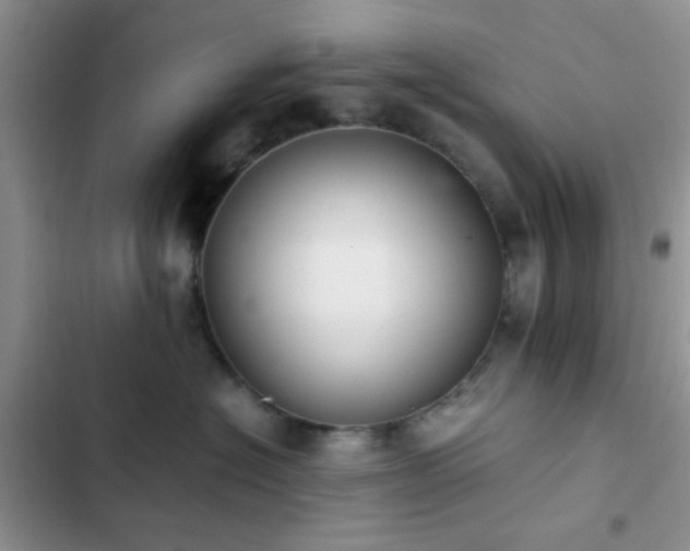 X0000102860574200808181444