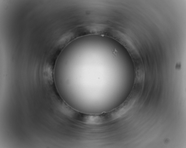 X0000102860575200808181444