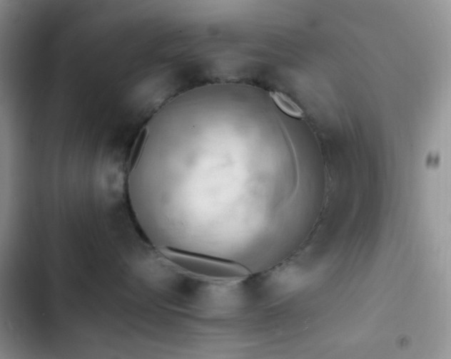 X0000102860576200808181444