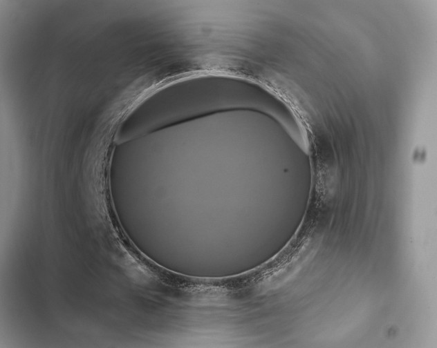 X0000102860577200808181443