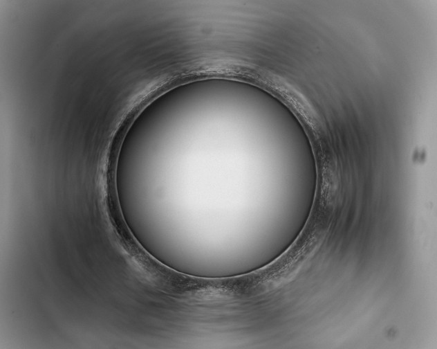 X0000102860578200808181443