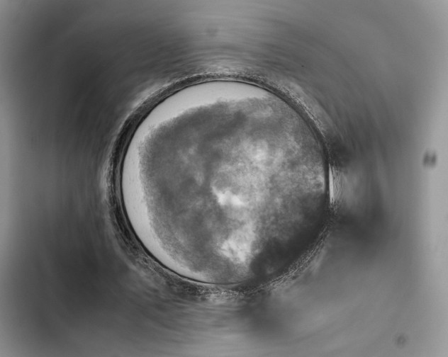 X0000102860579200808181443