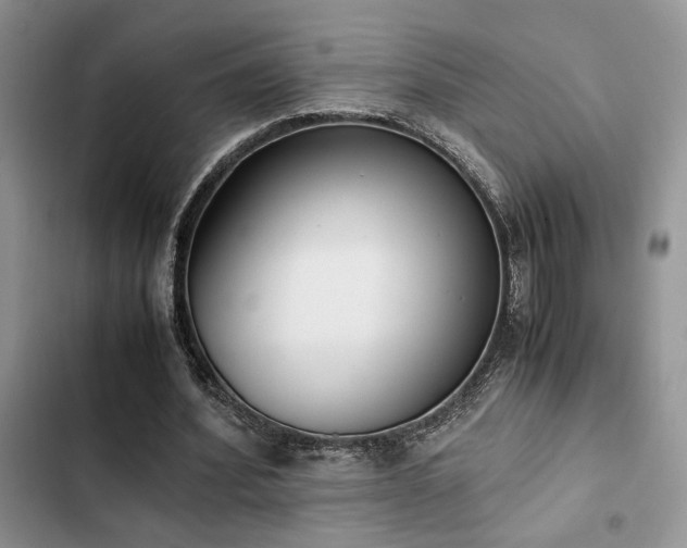 X0000102860580200808181443