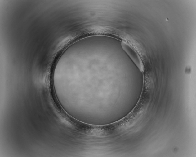 X0000102860581200808181443