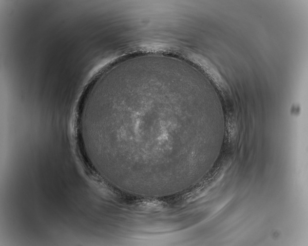 X0000102860583200808181443