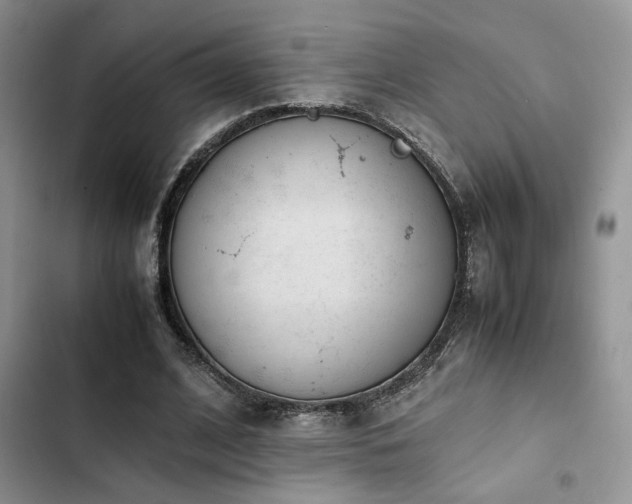 X0000102860584200808181443