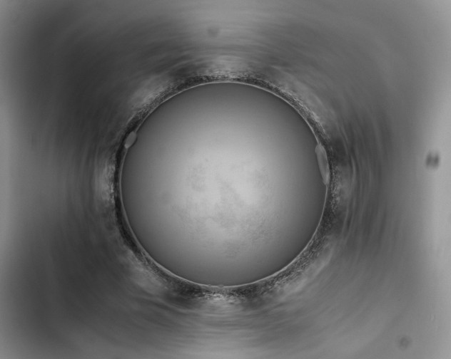 X0000102860585200808181443