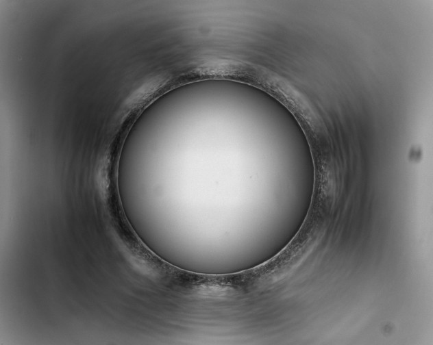 X0000102860586200808181443