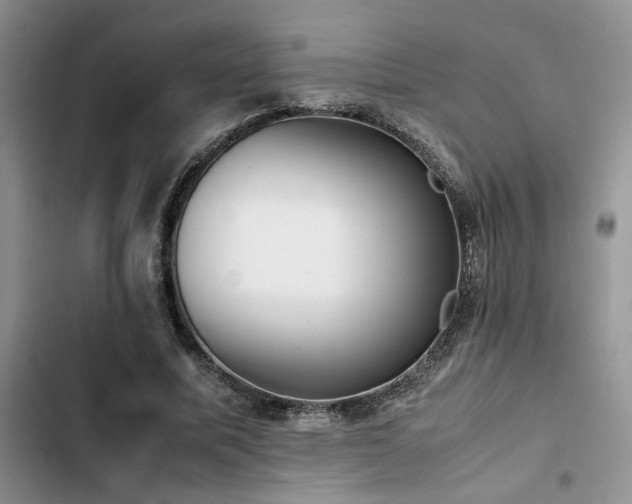 X0000102860587200808181443