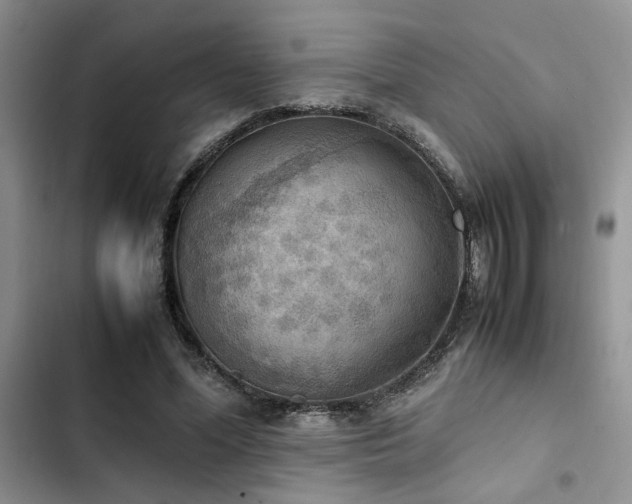 X0000102860588200808181443