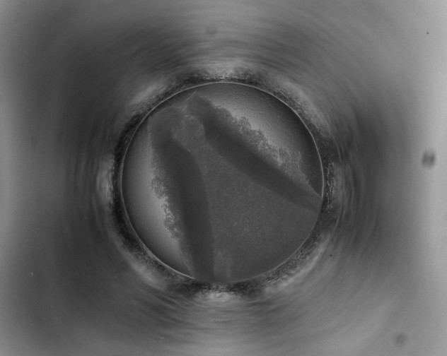 X0000102860590200808181443