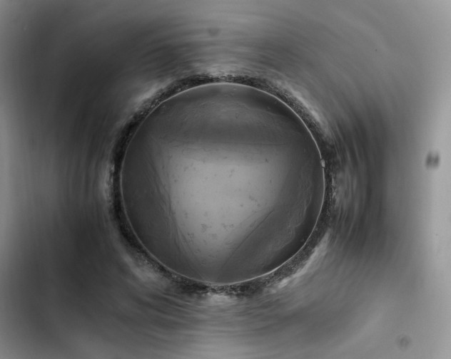 X0000102860592200808181443