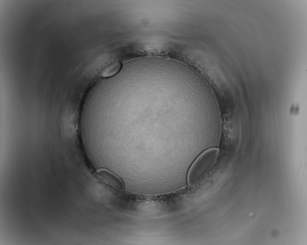 X0000102860593200808181443