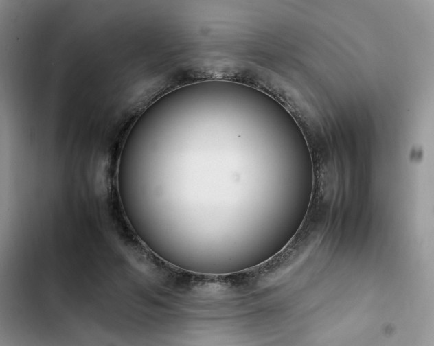 X0000102860594200808181443