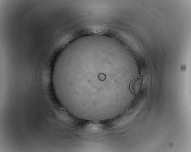 X0000102860595200808181443