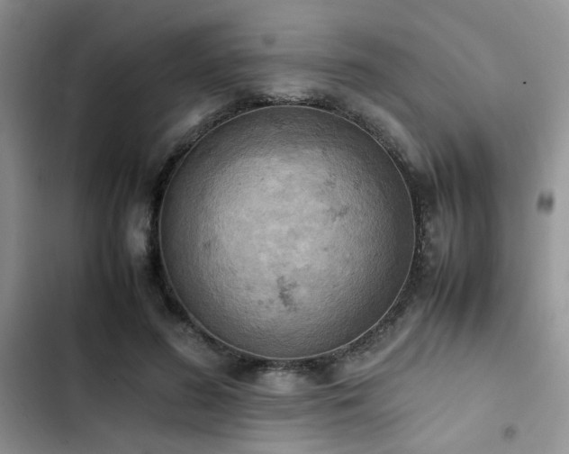 X0000102860596200808181443