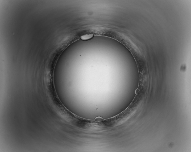 X0000102860597200808181443