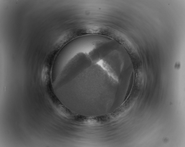 X0000102860598200808181443