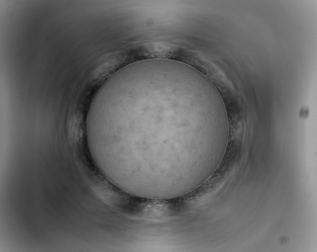 X0000102860599200808181443