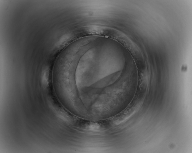 X0000102860600200808181443