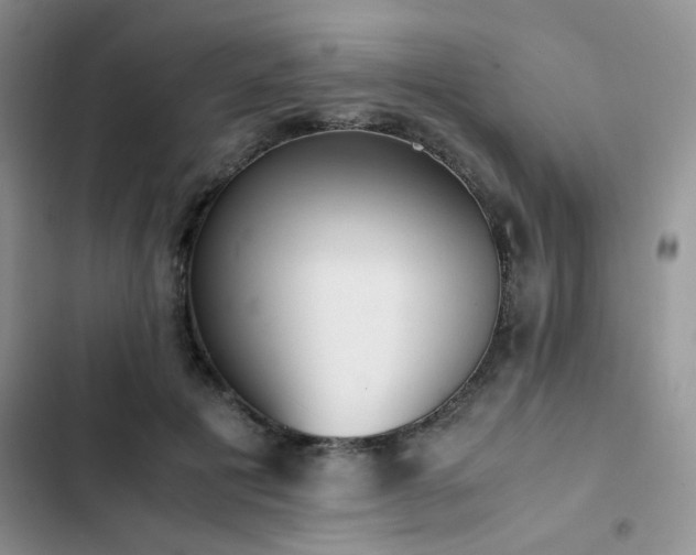 X0000102860601200808181443