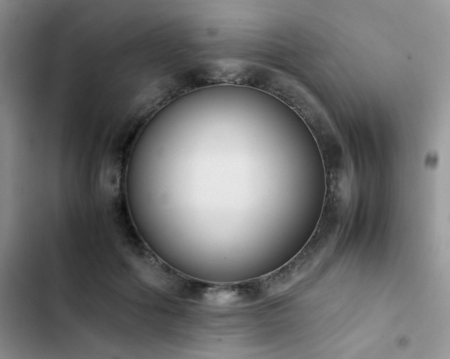 X0000102860602200808181443