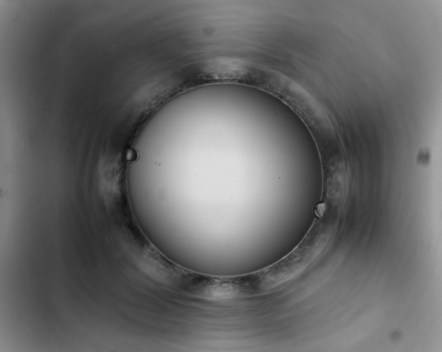 X0000102860604200808181443