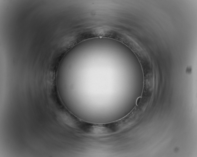 X0000102860605200808181443