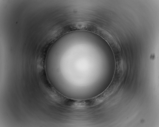 X0000102860606200808181443