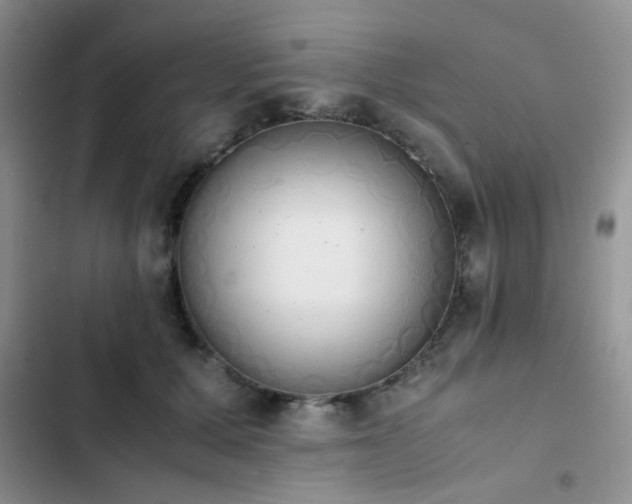 X0000102860607200808181443