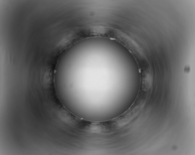 X0000102860608200808181443