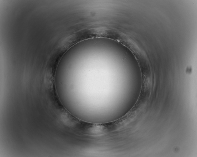 X0000102860609200808181443